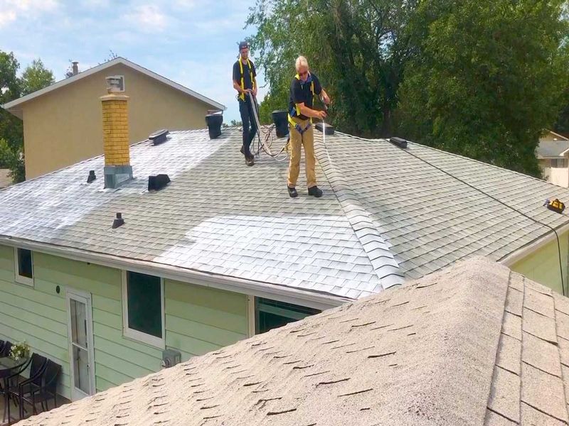 Chico, Here’s Everything You Need to Know About Roof Savers