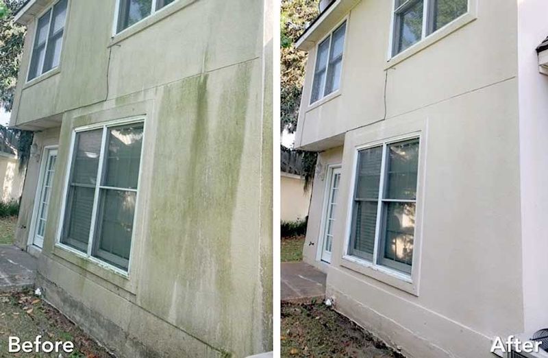 That Green on Your Siding isn’t Shamrocks, Morristown…